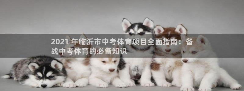 星欧娱乐平台怎么样知乎推荐