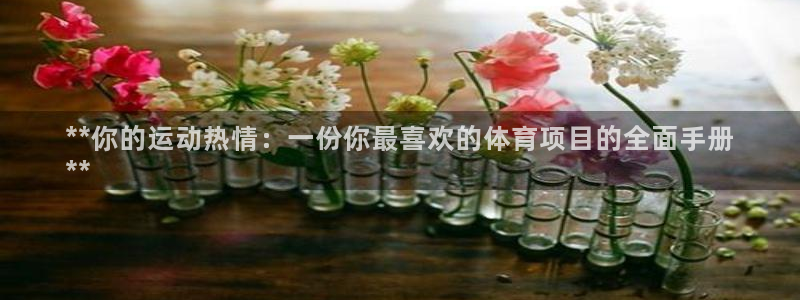 星欧娱乐联售后服务评价