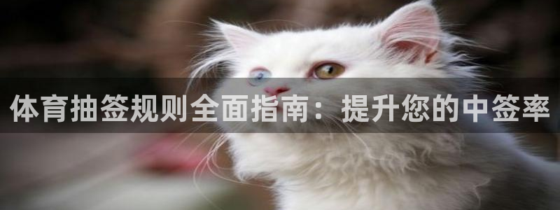 星欧娱乐热最建议去的三个地方