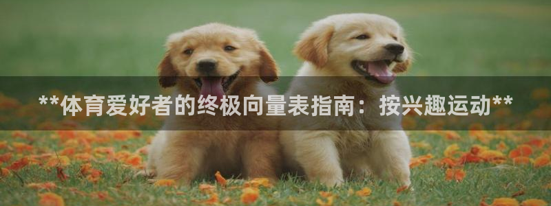 星欧娱乐公司简介