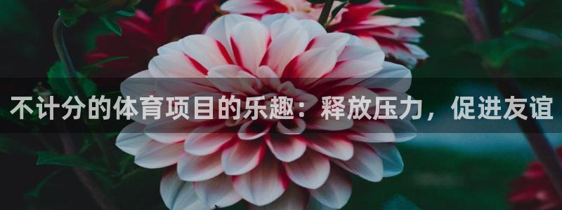 星欧娱乐最建议买的三个产品有哪些内容