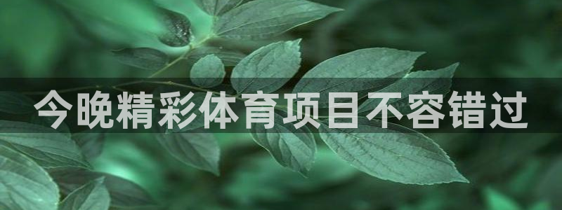 星欧娱乐属于什么档次的网站啊