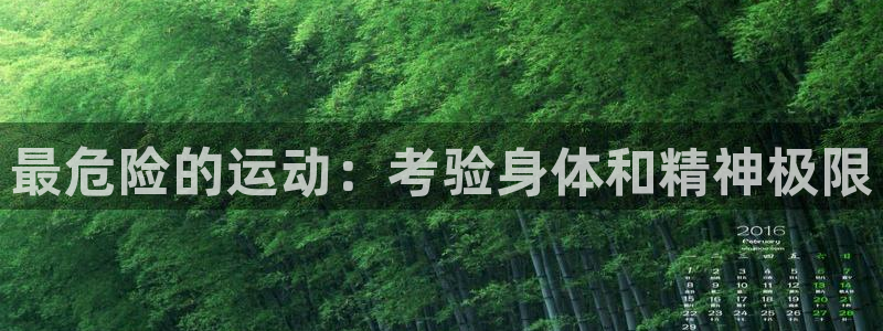 星奥娱乐集团怎么样