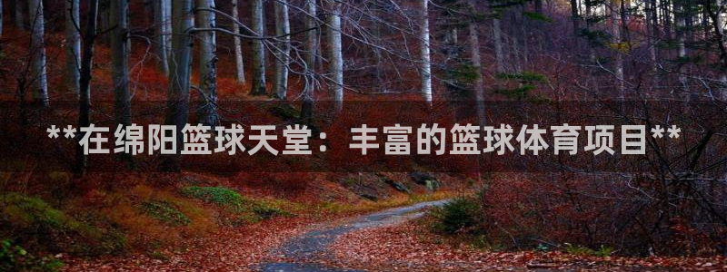 星欧娱乐信存手机版下载