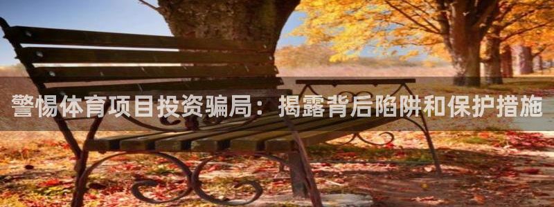 星欧娱乐挂机教程