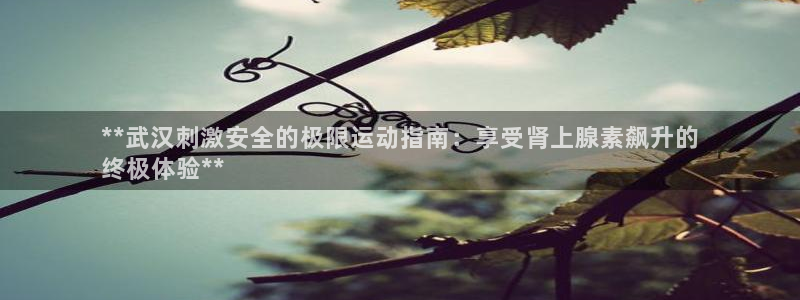 星欧娱乐扣钱步骤详解