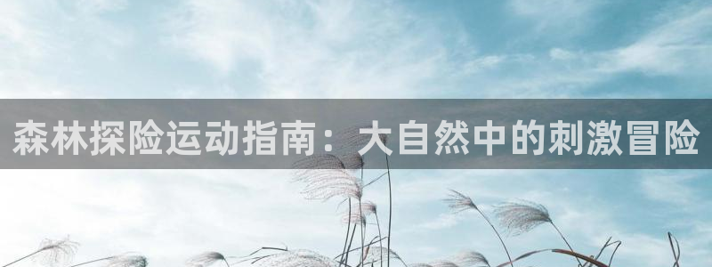 星欧娱乐测速怎么样