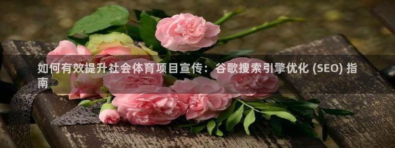 星欧娱乐扣款时间查询方法怎么查的