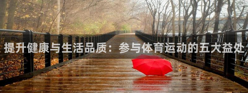 星欧娱乐扣款流程详解