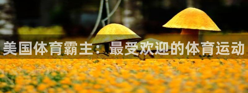 星欧娱乐是正规平台吗安全吗可靠吗