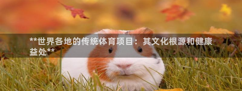 星欧娱乐官方客服联系方式电话