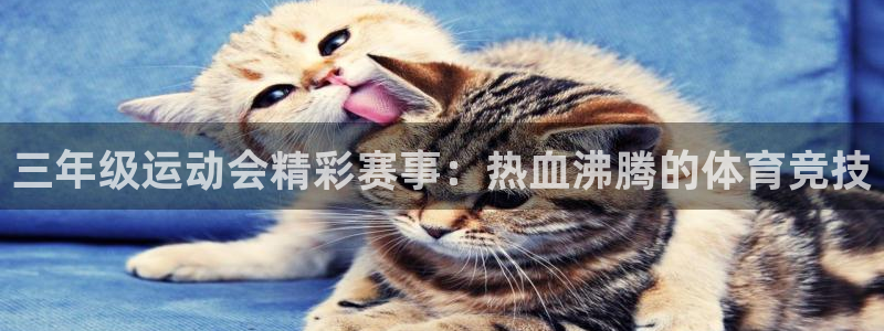 星欧娱乐官网首页