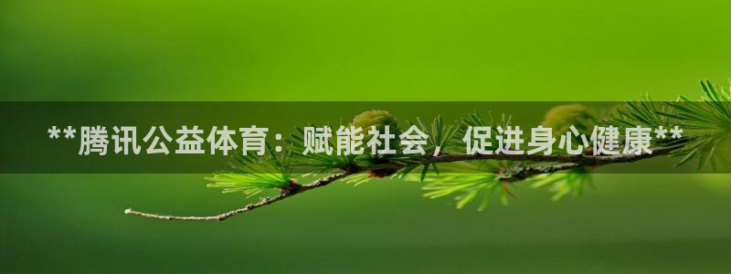 星欧娱乐公司创始人背景故事简介