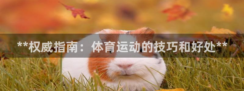 星欧娱乐官网首页