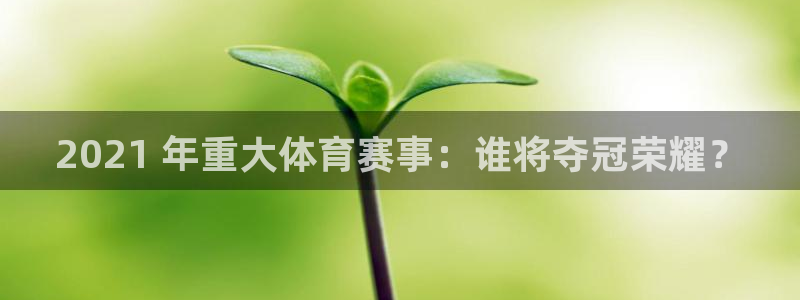 星娱乐是谁的公司