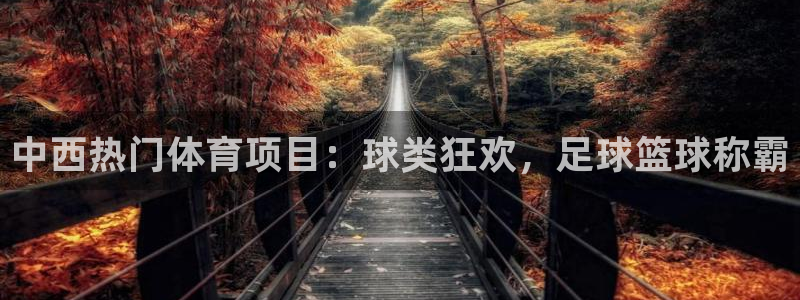 星欧娱乐平台怎么样可靠吗安全吗