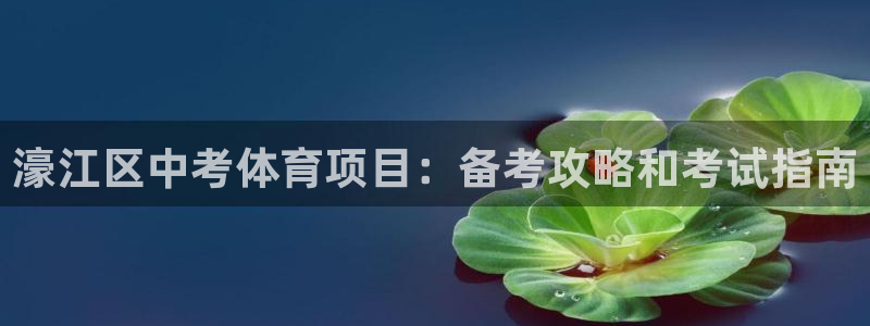 星欧娱乐平台怎么样知乎赚钱吗