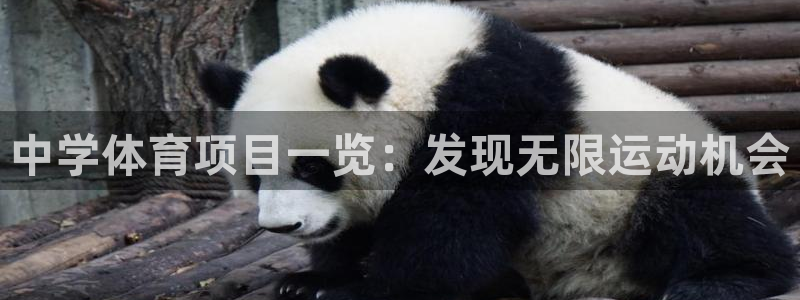 星欧娱乐载711.112使用教程详解