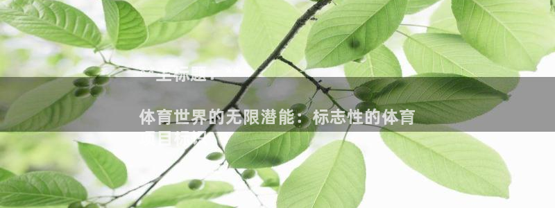 星欧娱乐官方客服联系方式电话