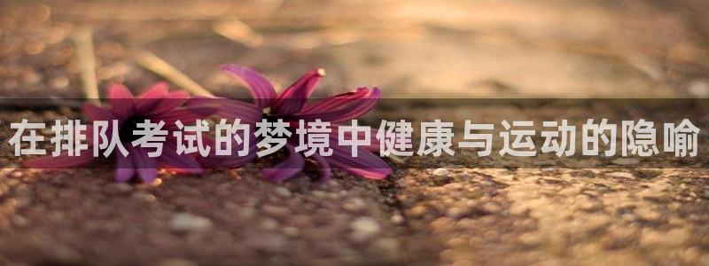 星欧娱乐公司电话号码