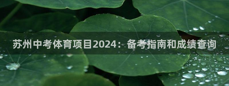 星欧娱乐公司创始人背景故事是什么