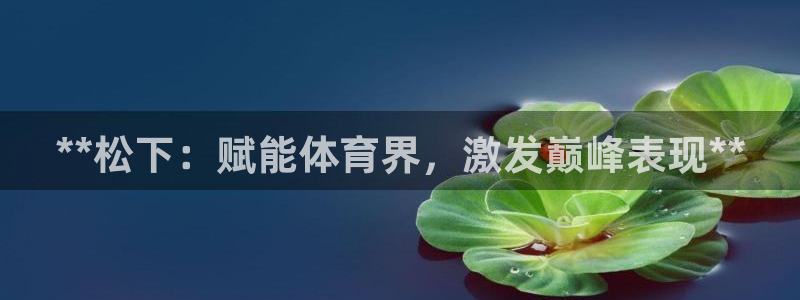 星欧娱乐是正规平台吗