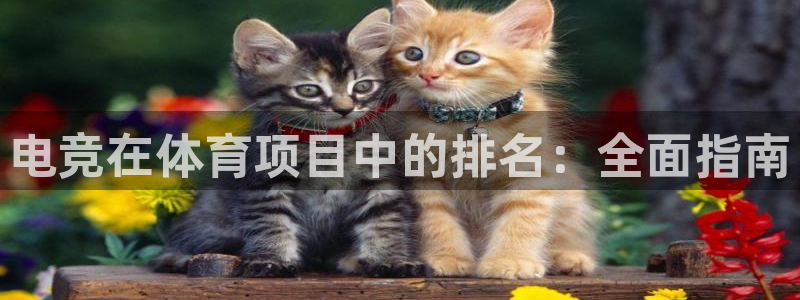 星欧娱乐官网下载