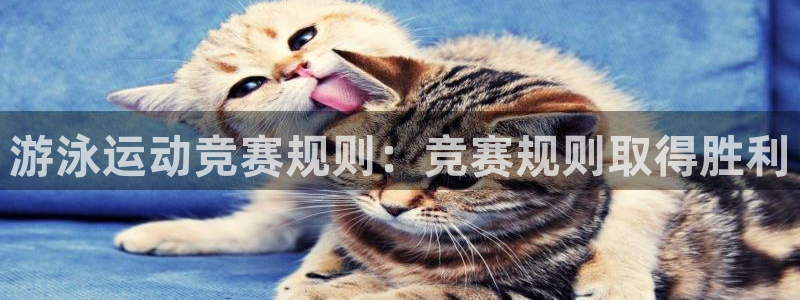 星欧娱乐扣款时间查询方法怎么查不了