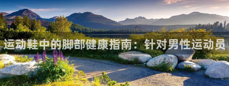 星欧娱乐和嫲薇他的区别是什么