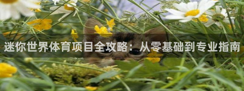 星欧娱乐的官方版本更新内容有哪些