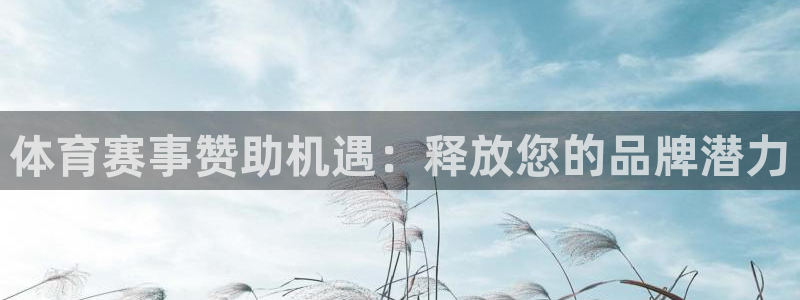 星欧娱乐测速软件下载