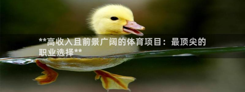 星欧娱乐工711.112怎么没有了