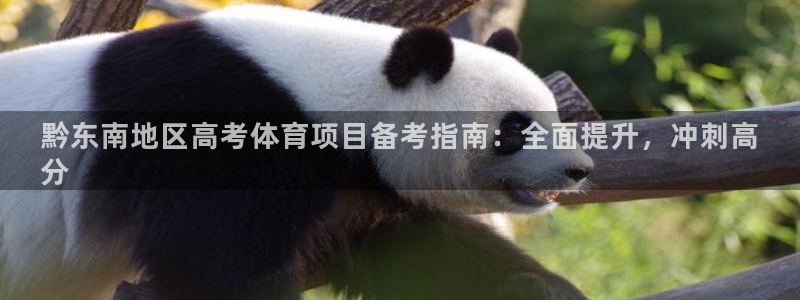 星欧娱乐最建议买的三个产品是什么