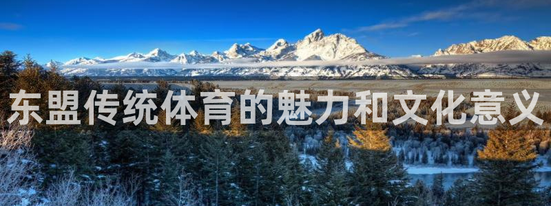 星娱乐online刘亦菲