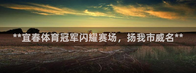 星欧娱乐属于什么档次的公司