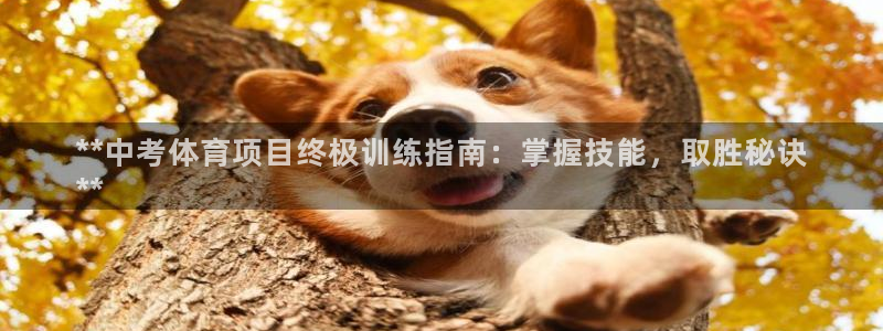 星欧娱乐平台怎么样可靠吗