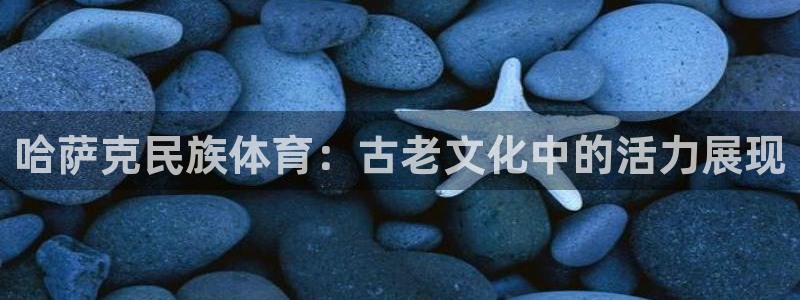 星欧娱乐联4.8.5.6.2.4.3下载