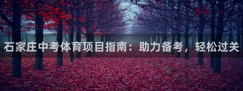 星奥娱乐集团股份有限公司招聘