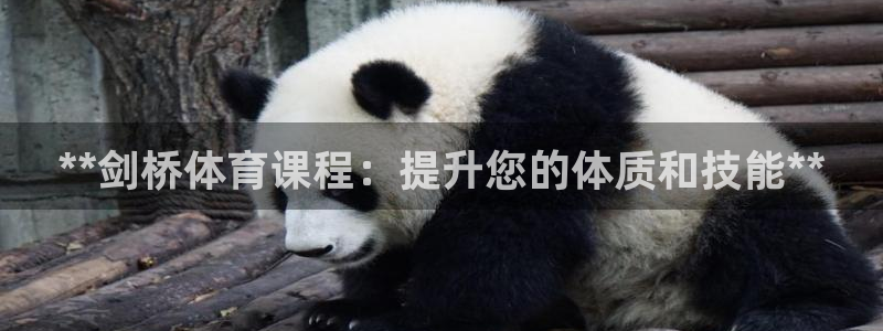 星娱乐包月业务是什么