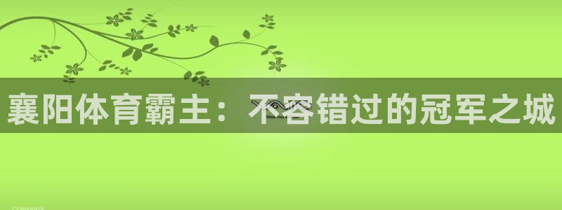 星欧娱乐属于什么档次的软件公司