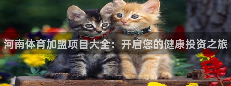 星欧娱乐扣款时间查询方法是什么