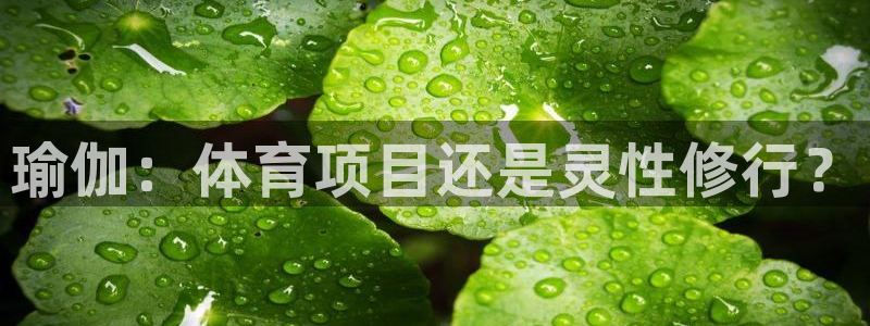 星奥娱乐集团股份有限公司