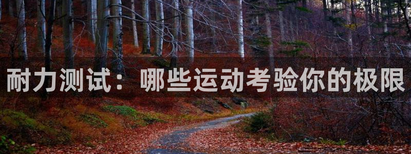 星欧娱乐扣款流程详解图高清