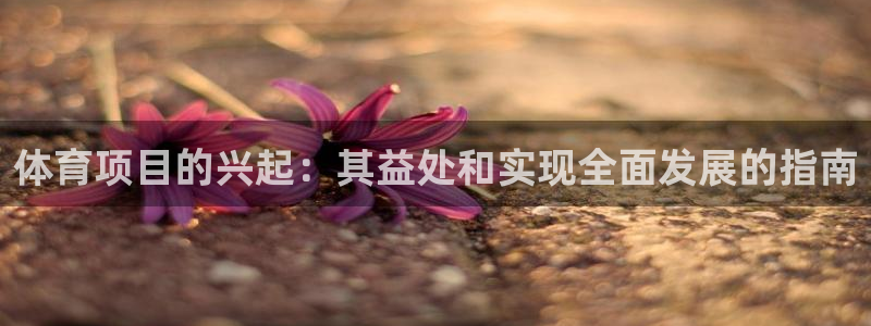 星欧娱乐信存手机版下载