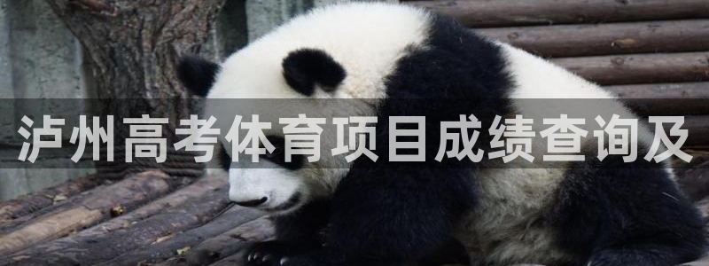 星娱乐online创作的原声胡歌吴磊