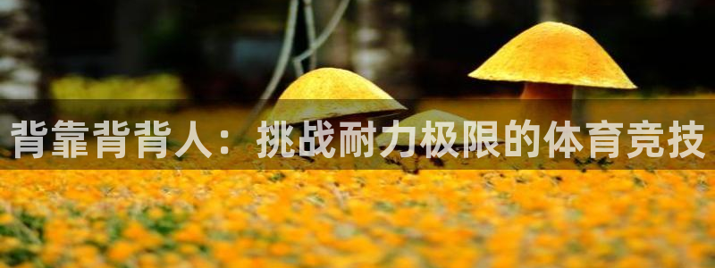 星欧娱乐信存手机版下载