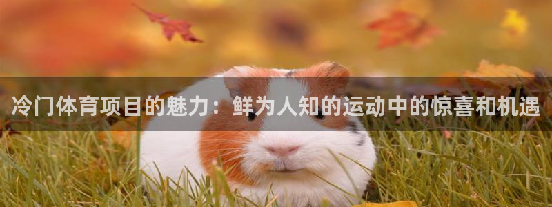 星欧娱乐扣款流程详解