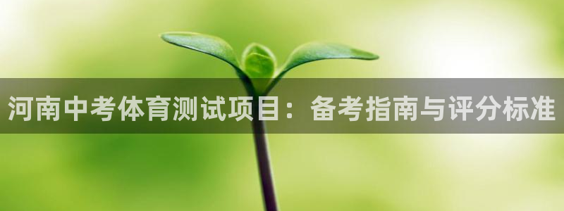 星娱乐文化传媒