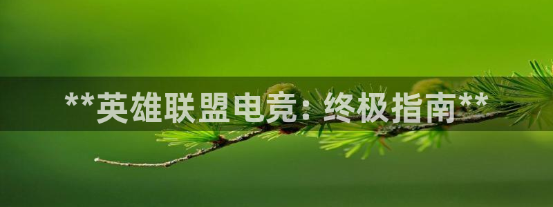 星欧娱乐公司创始人背景故事是什么