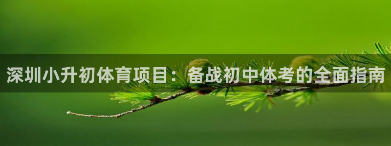 星欧娱乐属于什么档次的公司啊